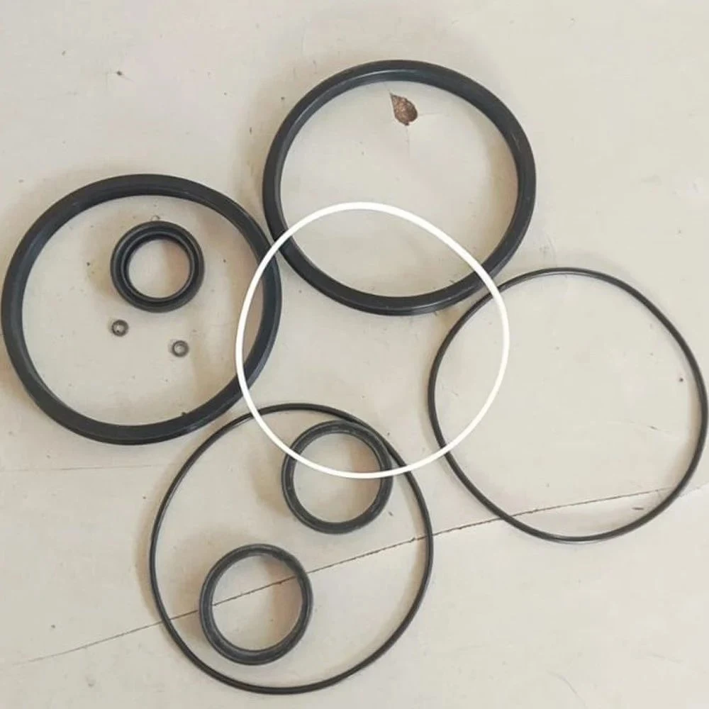 25 Mm Cylinder Seal Kit