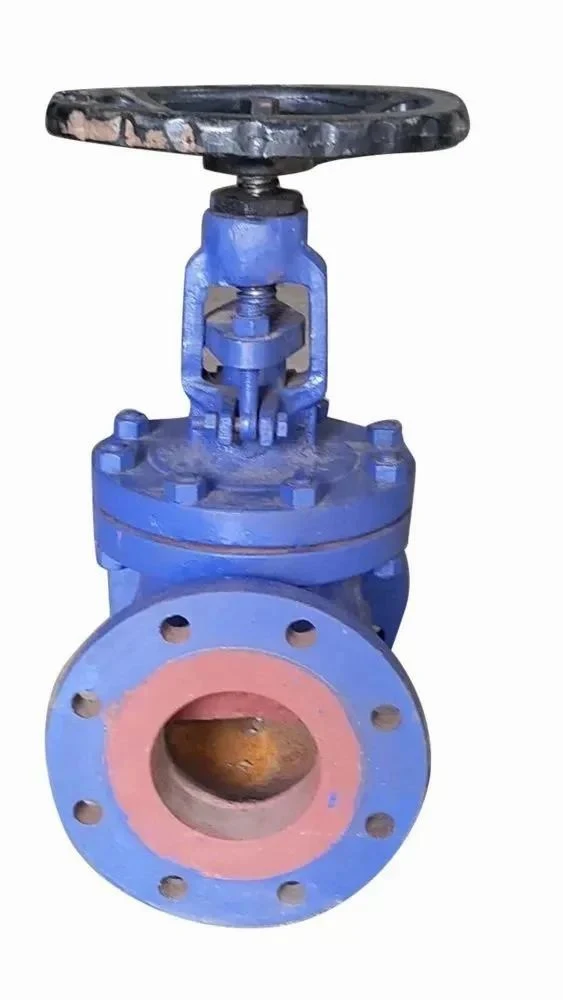 Mild Steel Globe Valve — view 2