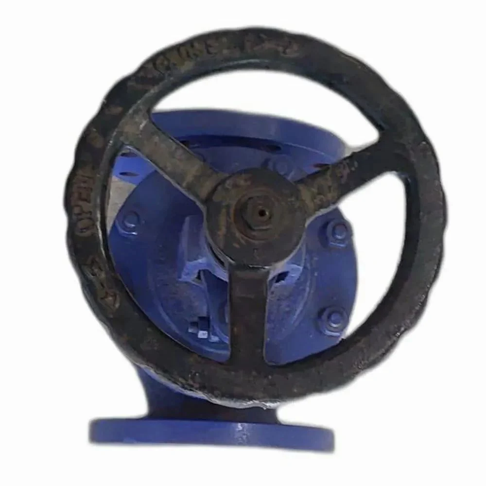Mild Steel Globe Valve — view 3