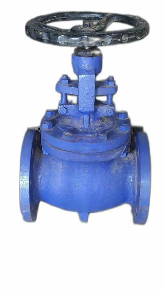 Mild Steel Globe Valve