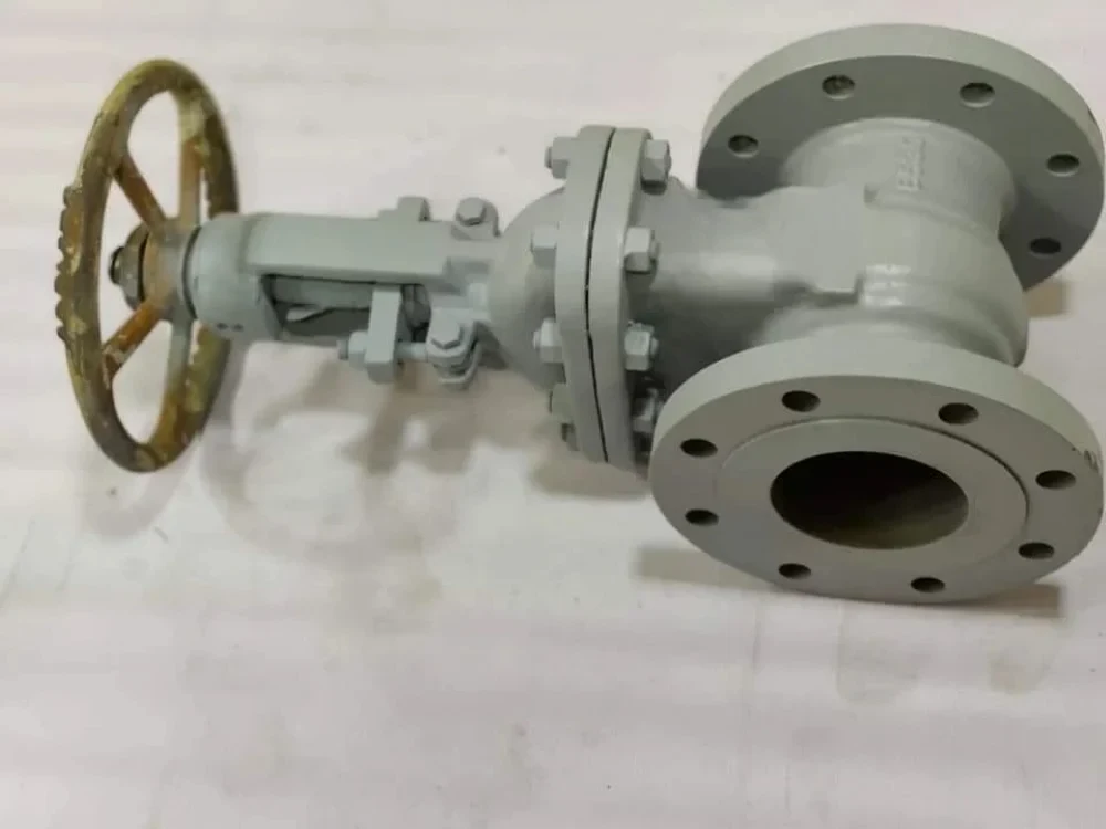 Stainless Steel Gate Valve